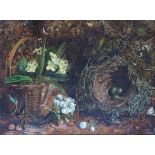 In the style of Oliver Clare - A gilt framed oil on canvas study depicting birds nest and flowers.
