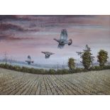 MARK CHESTER:  Watercolour entitled "Over the Stubble" depicting Grey Partridges,
