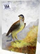 A watercolour of a bird of prey painted