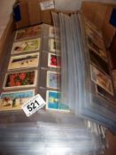 Over 2,000 cigarette cards by Wills, Pla