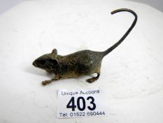 A Cold cast bronze of mouse (approx. length 3 1/4" / 8.25cm)