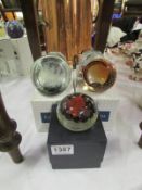5 boxed Caithness glass paperweights