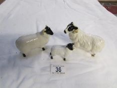 3 Beswick sheep