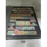6 albums of Commonwealth stamps including high value sheets