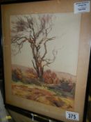 A framed and glazed watercolour 'Solitary Tree on Landscape' by Fred Lawson (1888-1968)