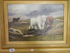 An oil on canvas of highland cattle signed E W Ellwand, Dec 9 1927, image 45cm x 30cm, frame 65cm