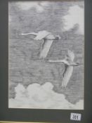 A pen and ink drawing of swans in flight signed D Branning
