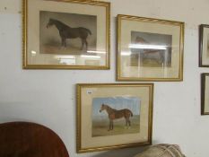 3 fine framed and glazed watercolours of