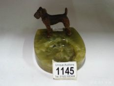 A cold cast bronze terrier dog