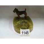 A cold cast bronze terrier dog