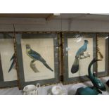 5 framed and glazed prints of birds