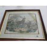 A framed and glazed print of fighting st