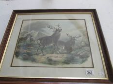 A framed and glazed print of fighting st