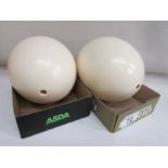 A pair of ostrich eggs