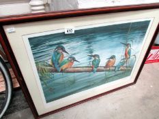 A framed and glazed print of kingfishers
