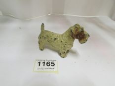 A 1930's cold painted Sealyham Terrier d