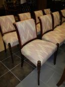 A set of 8 chairs including 2 carvers
