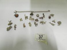 Approximately 22 silver charms, assorted