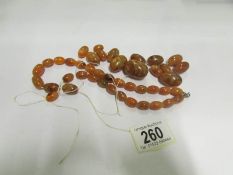 An amber necklace in need of re-threadin