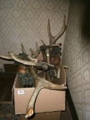 A pair of antler style wall lights, a/f