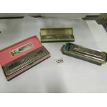 2 Hohner harmonica's including The Echo