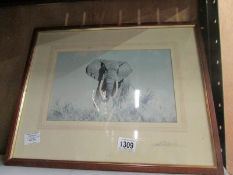 A signed David Shepherd print of a Bull