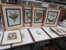 7 framed and glazed floral pictures and