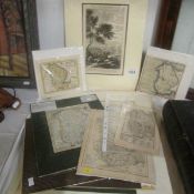 9 17th - 19th century antique maps of Lincolnshire including Richard Blome, John Rocque etc,