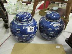 A pair of Chinese ginger jars,