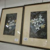 A pair of framed and glazed crocus and daffodil studies