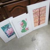 8 unframed water colours in mounts by Anne Mercer