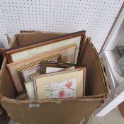 A mixed lot of small framed and glazed prints and floral watercolours
