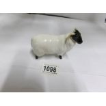 A Beswick ram