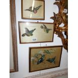 3 paintings on silk of birds
