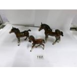 3 Beswick foals