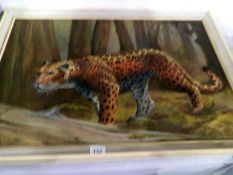 An  oil on board painting of a leopard signed John Parsons