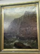 An oil on canvas, cliffs with seagulls, signed Cedric Gray '97, image 74 x 62cm,