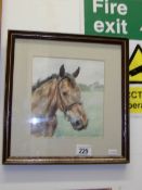 A framed and glazed watercolour of a racehorse 'Boykin' Bayhead signed E Tharowska '93 (Esther)