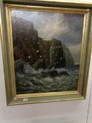 An oil on canvas, cliffs with seagulls, signed Cedric Gray '97, image 74 x 63cm,
