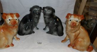 2 pairs of Victorian pug dogs