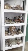 A large mixed lot of silver plates (4 shelves)