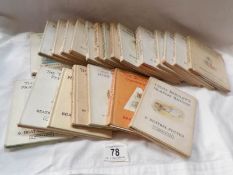 23 Peter Rabbit books by Beatrix Potter