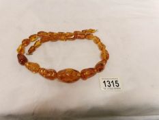 A Baltic amber necklace