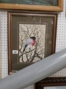 A watercolour of a red breasted bird in a tree initialed M H 1975