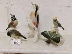 3 Continental porcelain birds including Woodpecker
