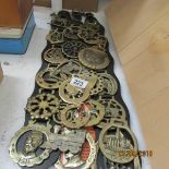 3 martingales and horse brasses