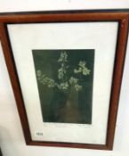 A framed and glazed painting of sweet peas dated 1907