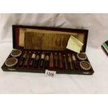 A cased set of early 20th century French Querval Freres Aubervilliers chemistry bottles