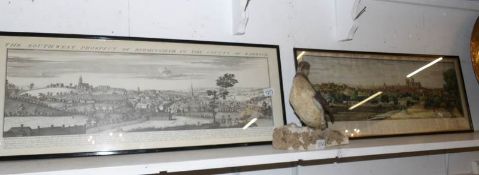 2 framed and glazed 19th century 'Prospect' print views of Birmingham and York