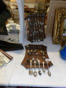 A collection of collector's spoons on 2 racks